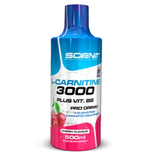 L-Carnitine 3000 - 500 ml - SCENIT NUTRITION