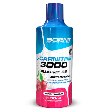 L-Carnitine 3000 - 500 ml - SCENIT NUTRITION